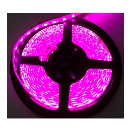 Carjamz Race Sport 16'/5M 3528 LED Solid Color Strip, Purple RS-3528-5MP